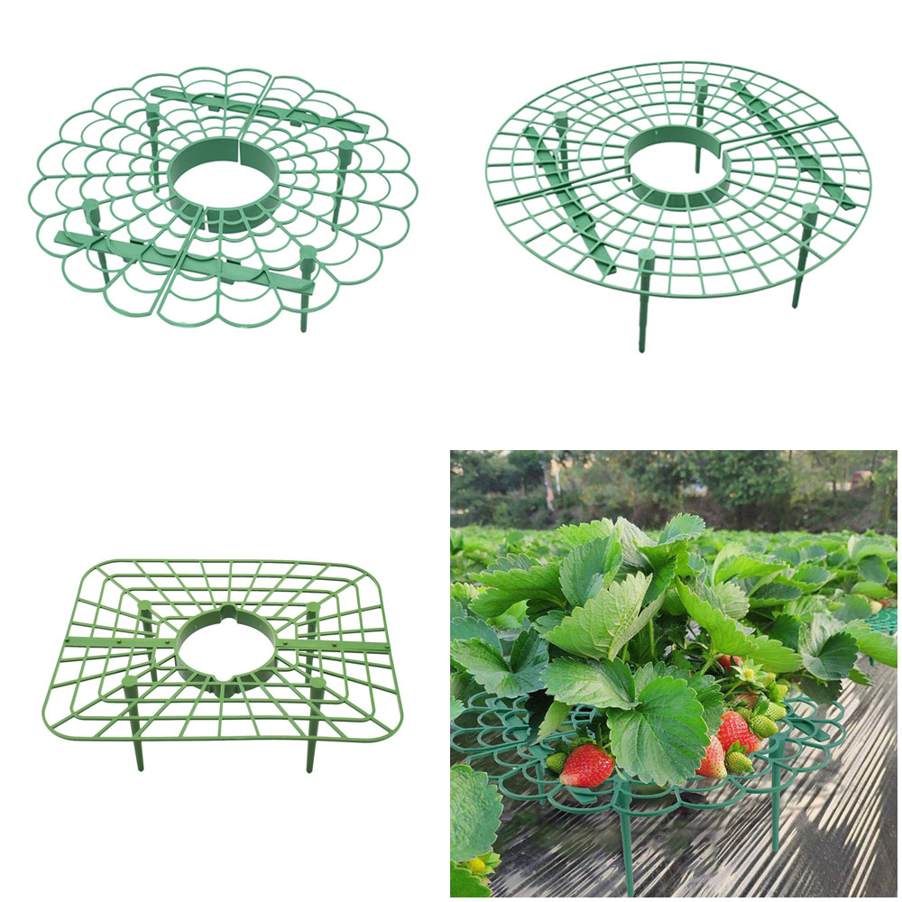 Vine Climbing Plastic - Hoa Tự Động Hệ Thống Tưới