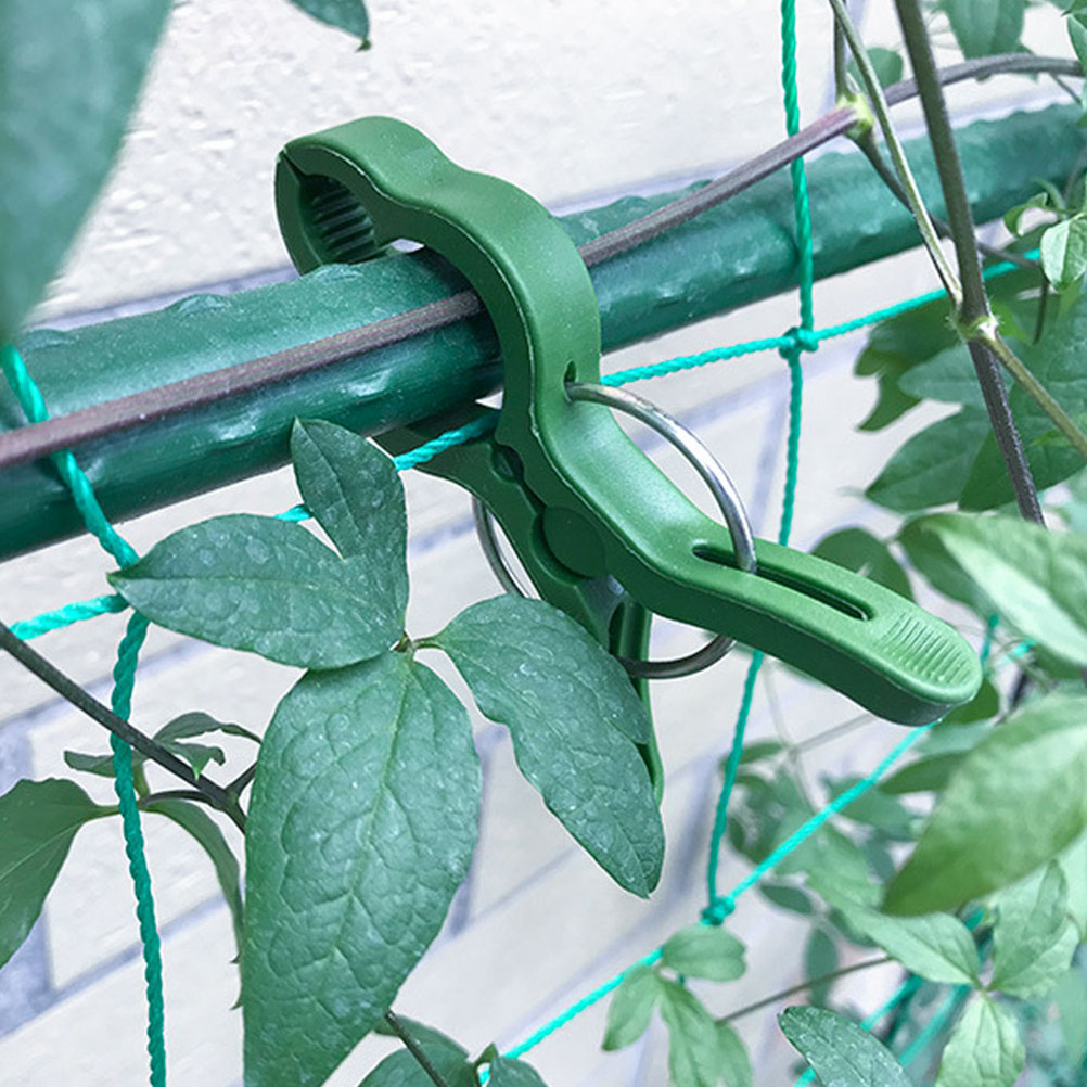 Vine Climbing Plastic - 60Pcs Plant Support Clips for Climbing