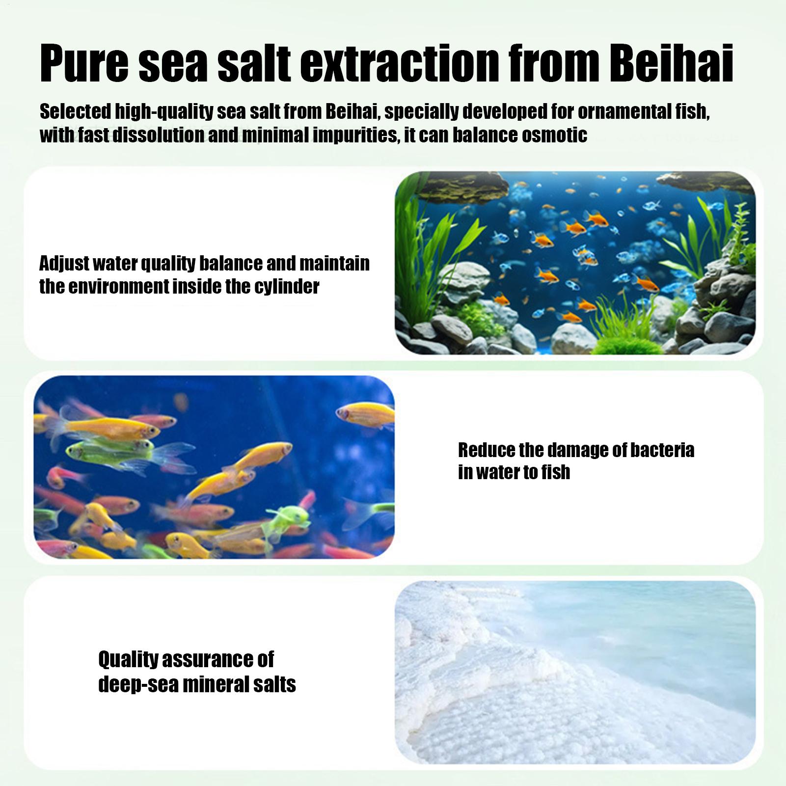 Fish Can Algae Remover Aquariu - đánh giá và giá Water Dish Reptile