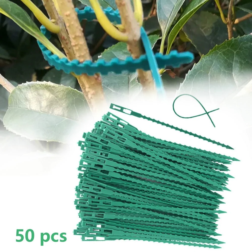 50pcs Adjustable Plastic Plant - đánh giá và giá Vine Climbing Plastic