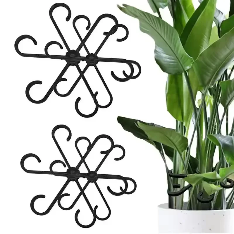 Stem Support Alocasia Monstera - đánh giá và giá Vine Climbing Plastic