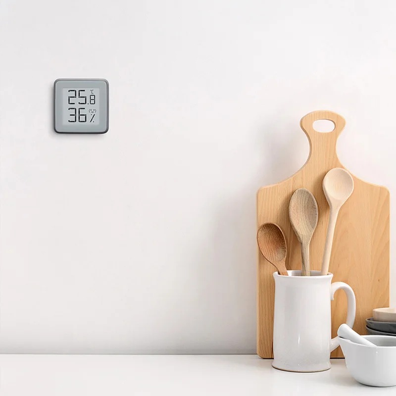 MMC E-Ink Screen Bluetooth 2.0 - đánh giá và giá Digital Hygrometer Probe