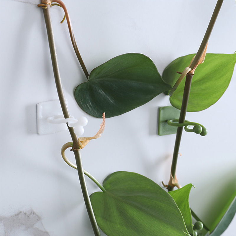100pcs-Home Garden Plant Climb - đánh giá và giá Vine Climbing Plastic