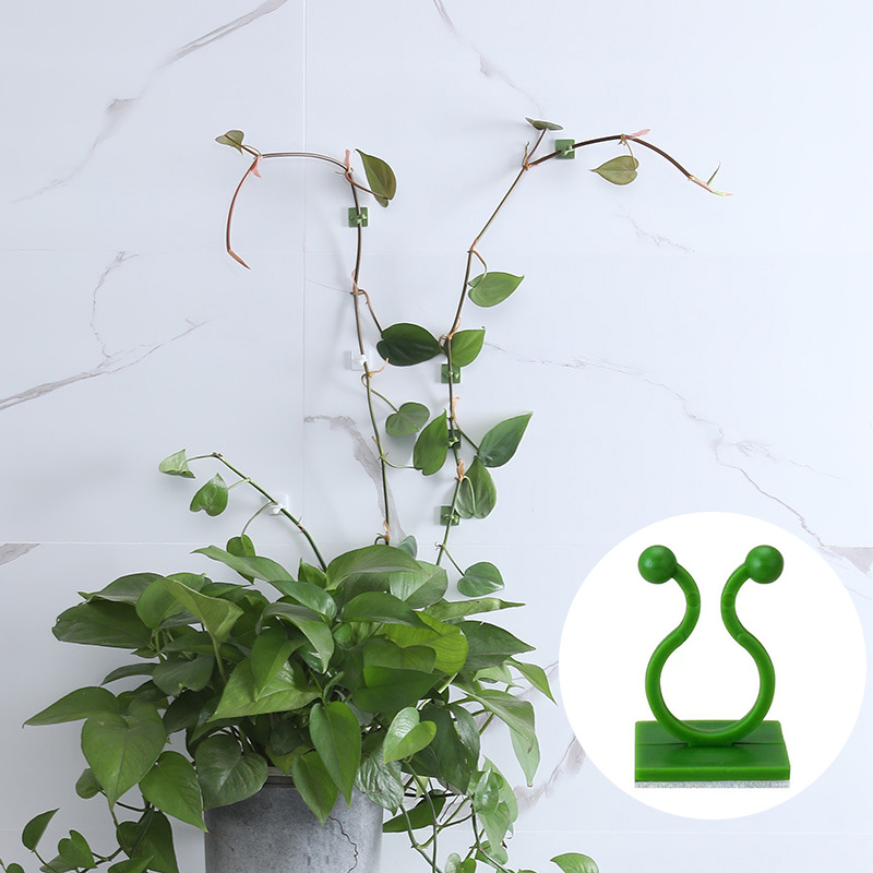 100pcs-Home Garden Plant Climb - đánh giá và giá Vine Climbing Plastic