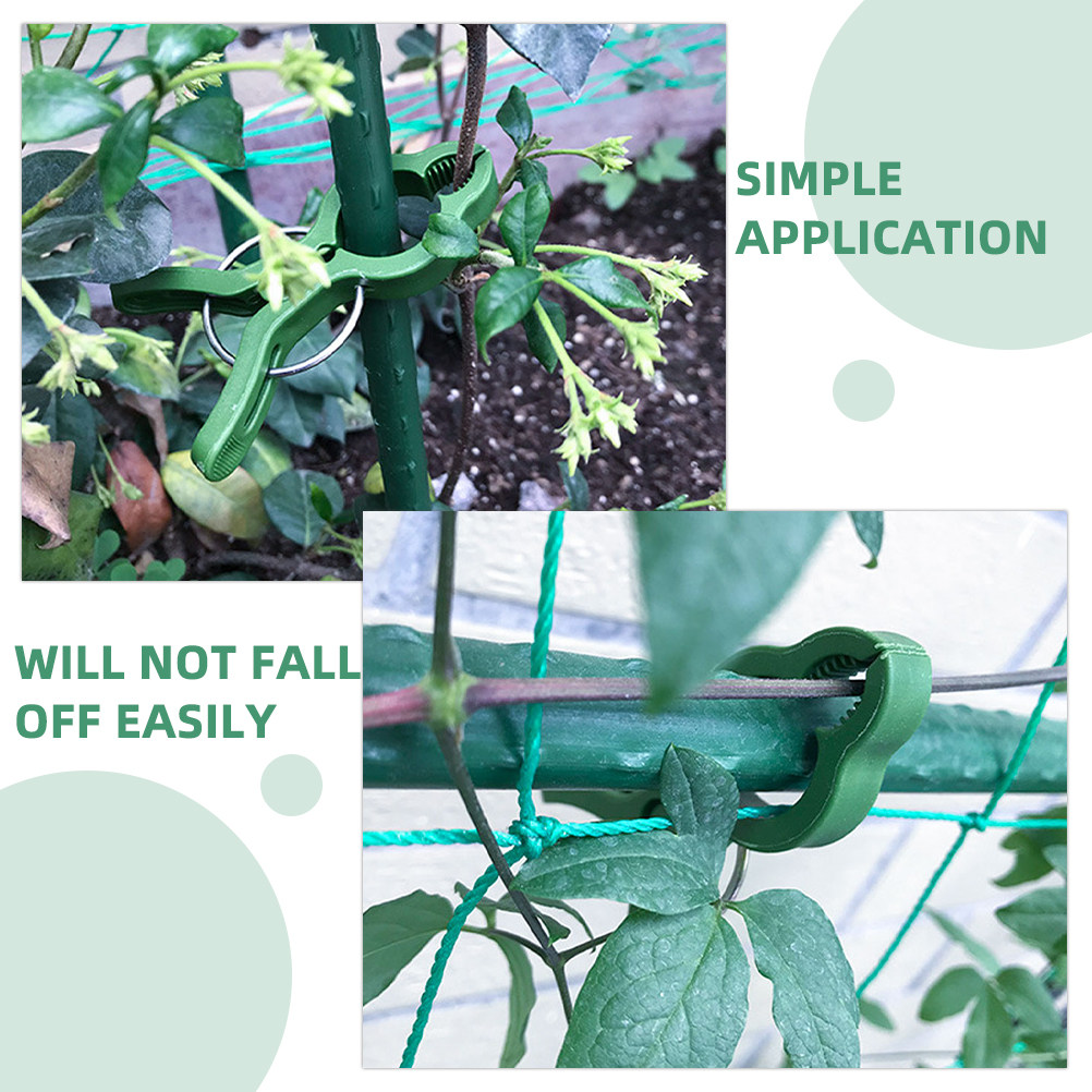 60Pcs Plant Support Clips for  - đánh giá và giá Vine Climbing Plastic